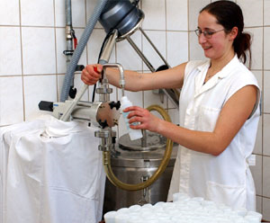 Stutenmilch